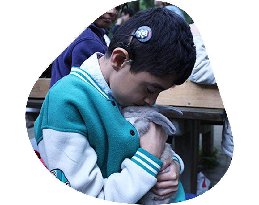 Un jeune garçon portant un implant auditif caresse un lapin avec tendresse