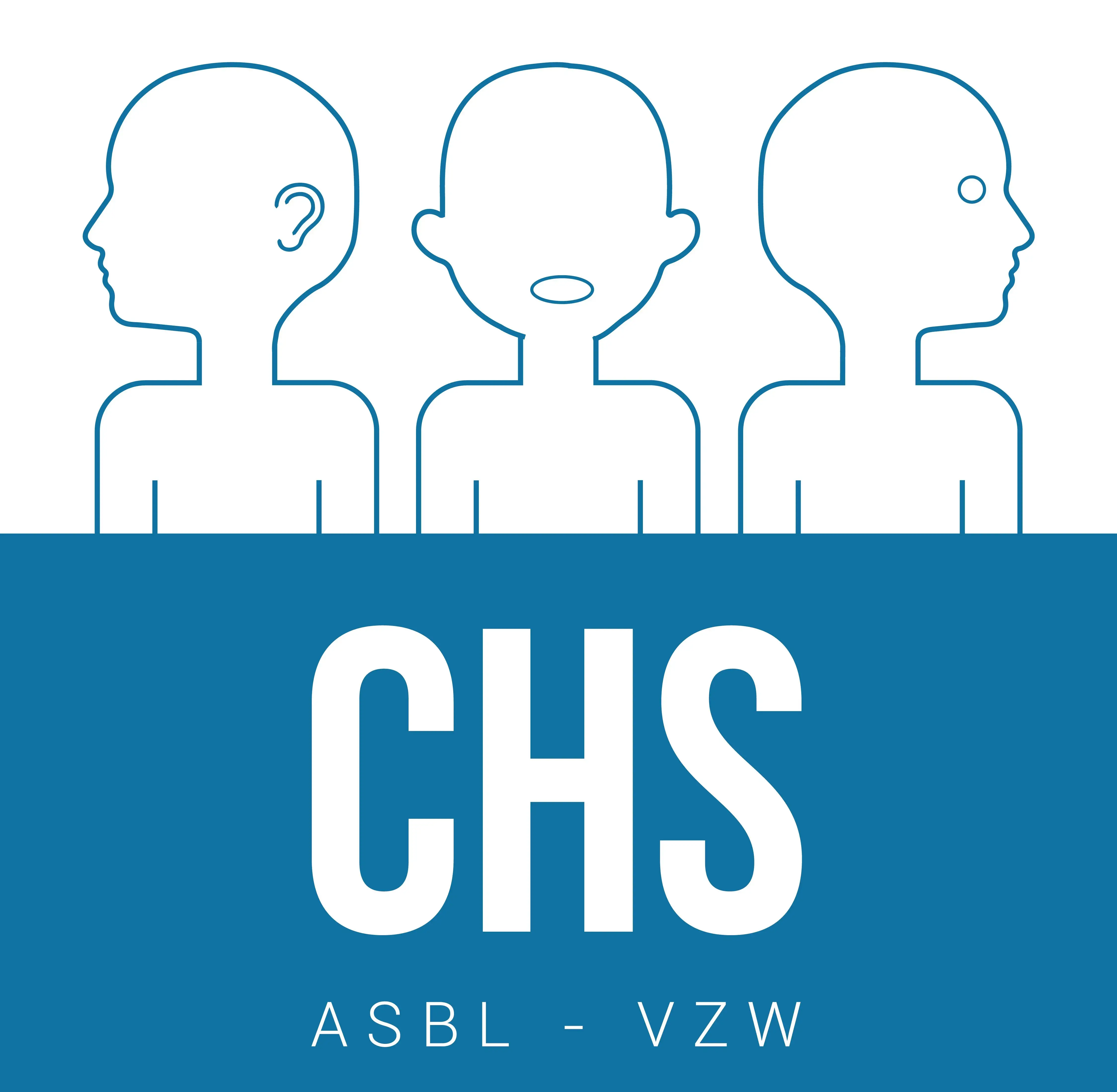 CHS - Centre Hospitalier Spécialisé